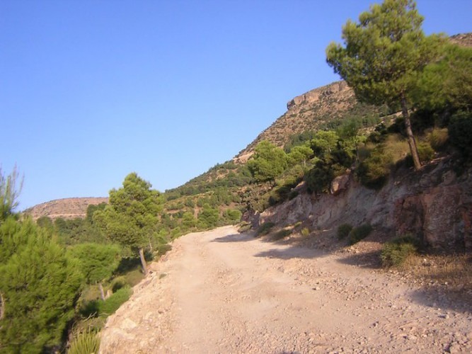 306721_184356668300797_7898989_n-667x500